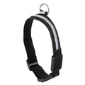 LED-halsband t/hund 40-47 cm Petzone